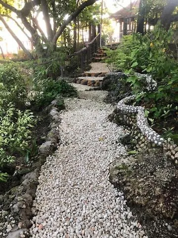 Pebble 4*